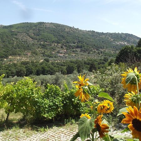Апартаменты Quinta Do Pina Гуарда Экстерьер фото