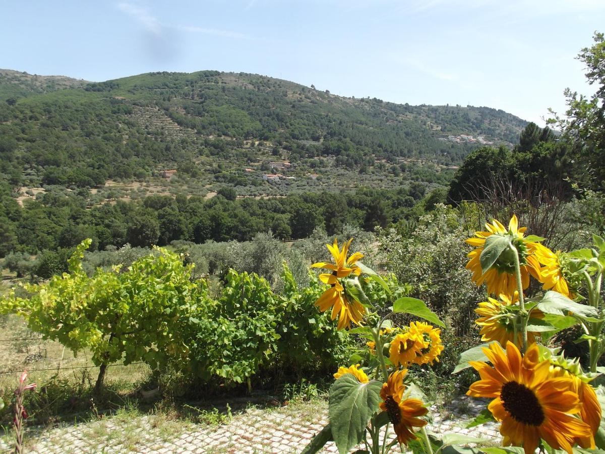 Апартаменты Quinta Do Pina Гуарда Экстерьер фото