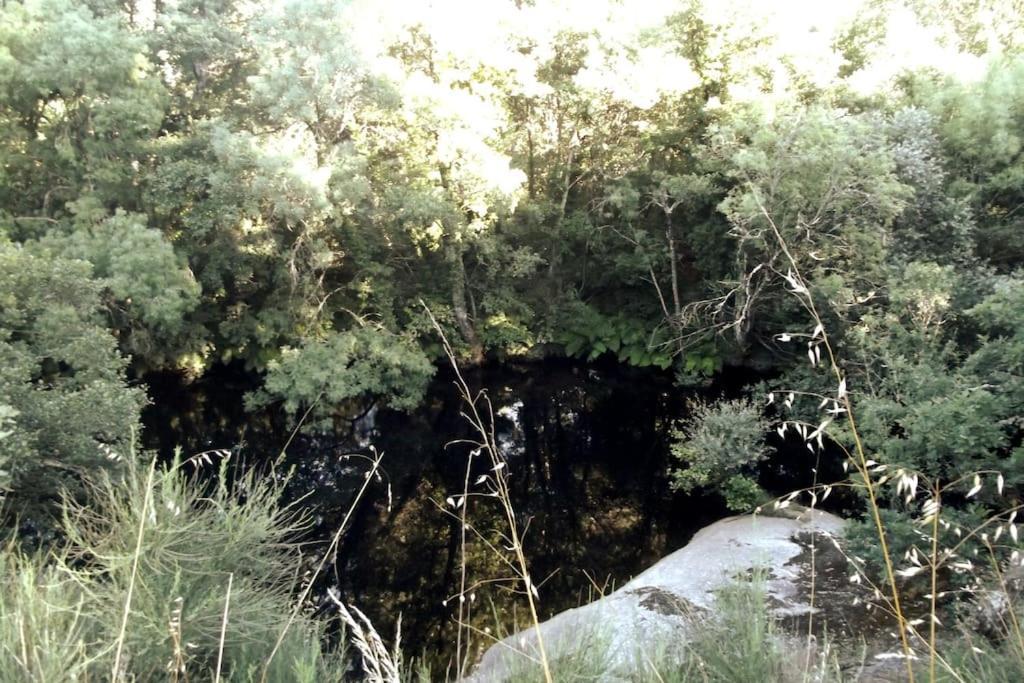 Апартаменты Quinta Do Pina Гуарда Экстерьер фото